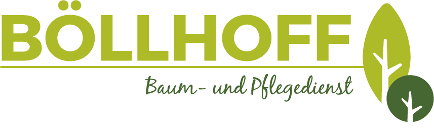 Logo der Firma Böllhoff