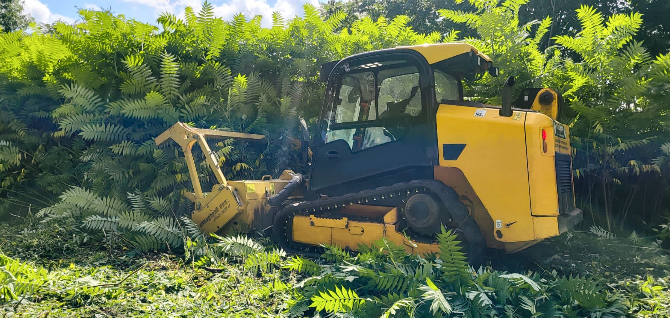 boellhoff-galabau-baumpflege-leistungen-gruenpflege-2 Ein gelber Forstmulcher vor einer grünen Hecke.