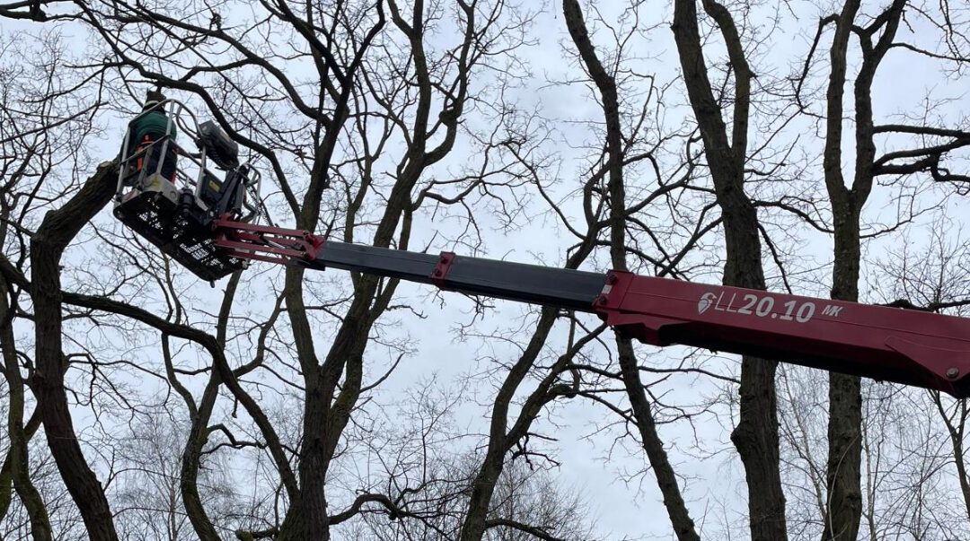 Gefahrenbaumfällung in Oberhausen Mitte