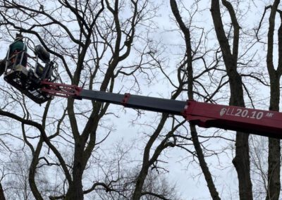 Gefahrenbaumfällung in Oberhausen Mitte